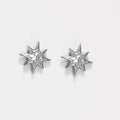 Mini Nash Oxidized Stud Earrings
