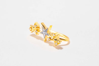 Kiah Star Gold Vermeil Ear Crawler Earrings
