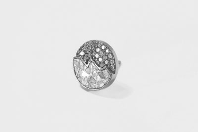 Raina Large Oxidized Silver Stud Earrings