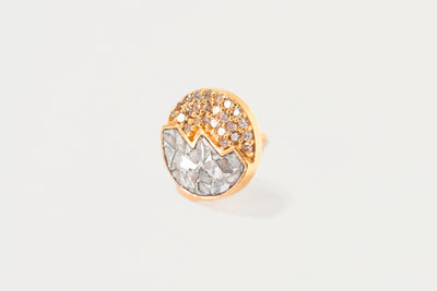 Raina Large Gold Vermeil Stud Earrings